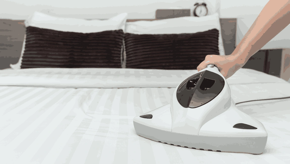 Professional Mattress Cleaning Lovely Banks
